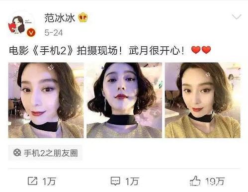 吃瓜系统娱乐圈小说合集,吃瓜系统小说合集大揭秘